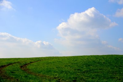 Chacun doit trouver son chemin_4515187370_l.jpg